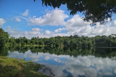 Scenic view of lake by trees against sky