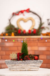 Potted plant on table