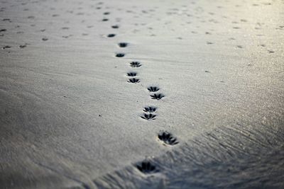 Full frame of water on beach