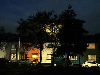 Silhouette tree by illuminated city against sky at night