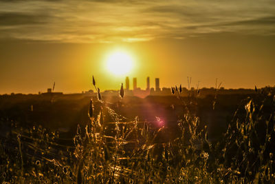 Silhouette city against sky during sunset