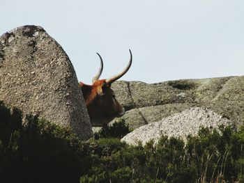 Low angle view of mountain against sky