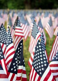 Close-up of american flags at cemetery