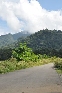 Road by trees against sky