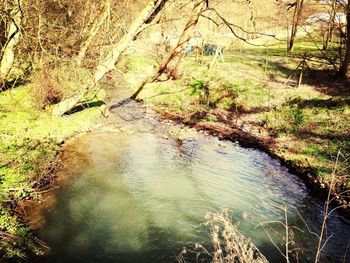 water