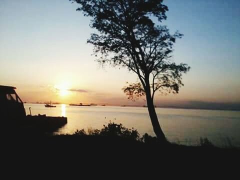 sunset, silhouette, water, tranquil scene, tranquility, sun, scenics, tree, beauty in nature, sky, horizon over water, sea, nature, reflection, idyllic, lake, branch, sunlight, orange color, calm