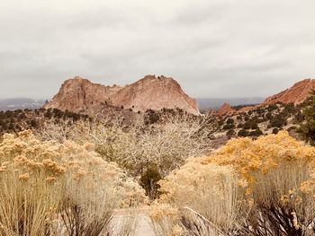 Scenic view of landscape and mountains against sky