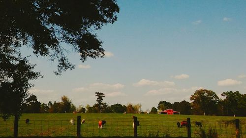 Scenic view of trees against sky