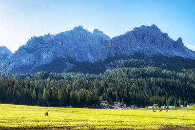 mountain