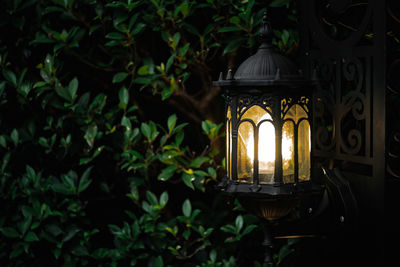 Close-up of illuminated lantern at night