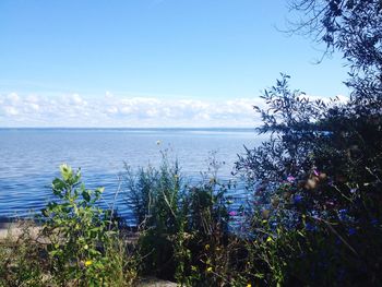 Scenic view of sea against clear sky