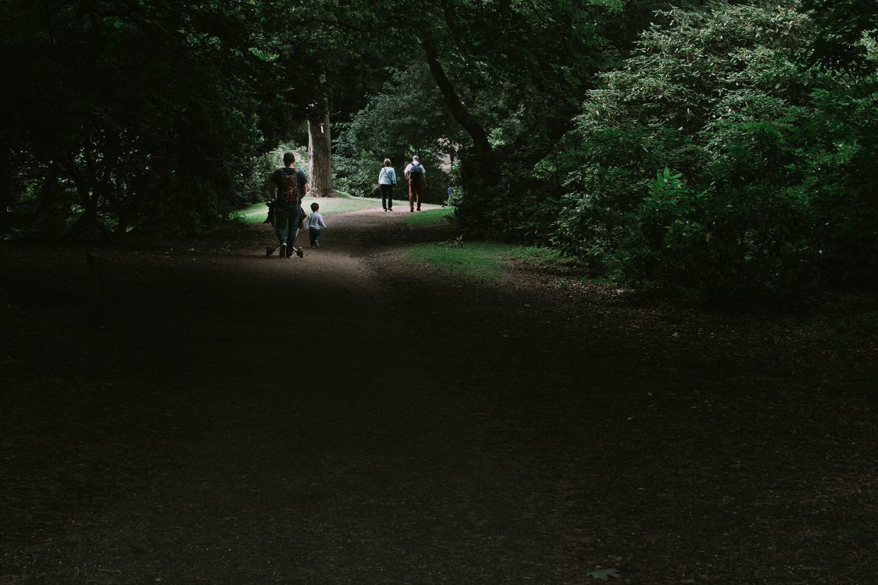 tree, walking, real people, men, nature, two people, women, togetherness, growth, outdoors, day, beauty in nature, mammal, people, adult