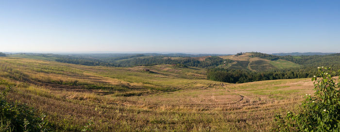 Scenic view of agricultural field against clear sky