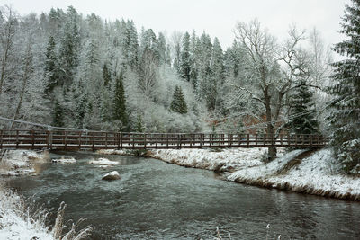 Scenic view of river in forest during winter