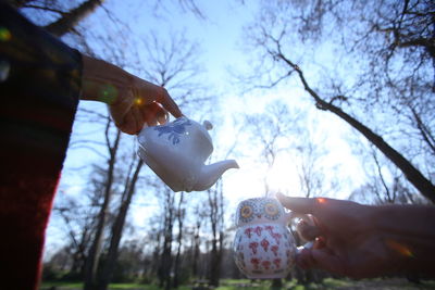 Low angle view of person holding ice cream against trees