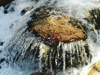 View of waterfall