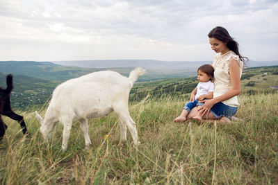 Woman with a child in a field on the mountain sitting next to a small goat in the summer