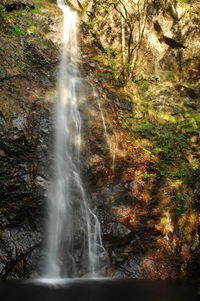 View of waterfall in forest