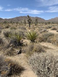 Scenic view of arid landscape against sky