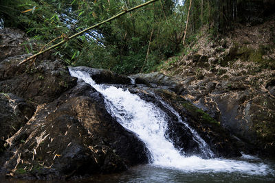 Stream flowing through rocks in forest