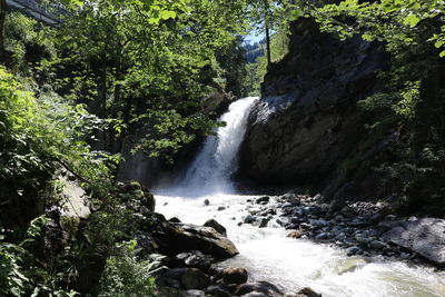 Scenic view of waterfall in forest