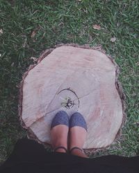 Low section of woman standing on tree stump