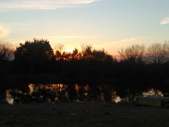 Silhouette of trees at sunset