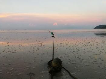 Scenic view of sea during sunset