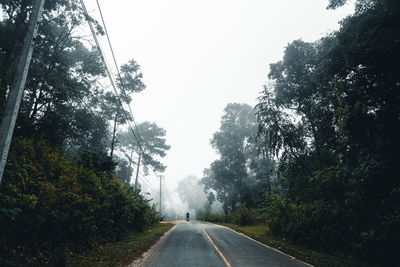 Road amidst trees against sky