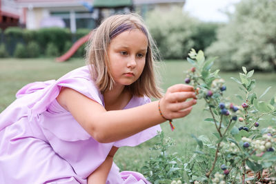 Little girl picking blueberry in the garden