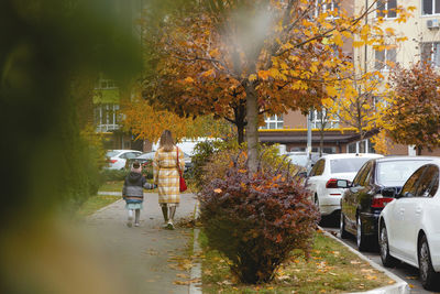 Trees by street in city during autumn