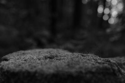 Close-up view of blurred background