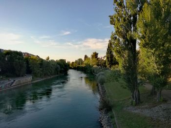 Scenic view of river by trees against sky