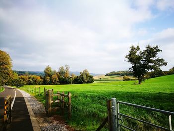 Scenic view of field against sky