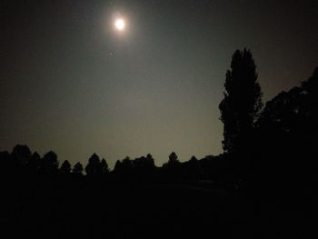 Low angle view of silhouette trees against sky at night