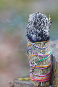 Close-up of burning incense