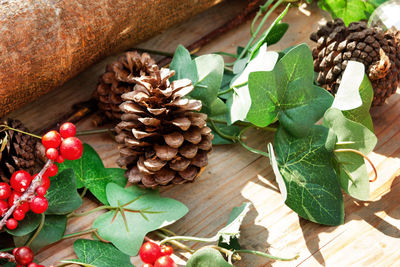 High angle view of fruits and leaves on table