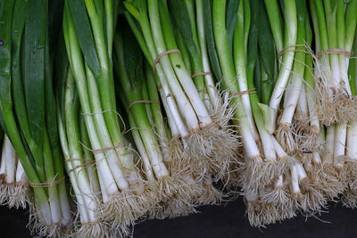 High angle view of scallions bundles at market stall