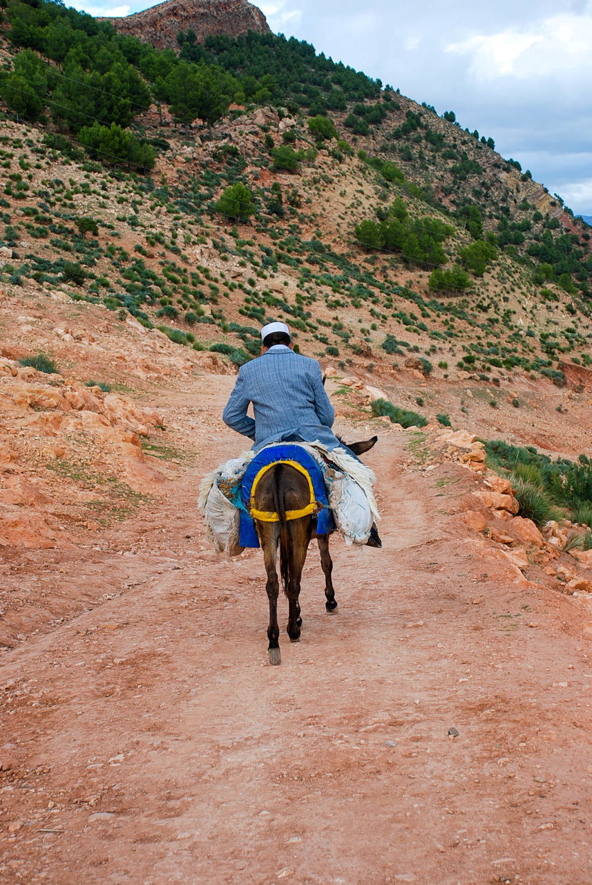 FULL LENGTH REAR VIEW OF MAN WALKING ON MOUNTAIN