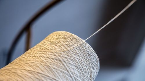 Close-up of thread