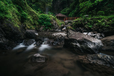 Stream flowing through rocks in forest