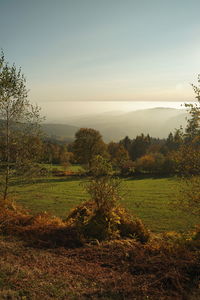 Scenic view of land against sky