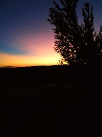 Silhouette trees on landscape against sky during sunset