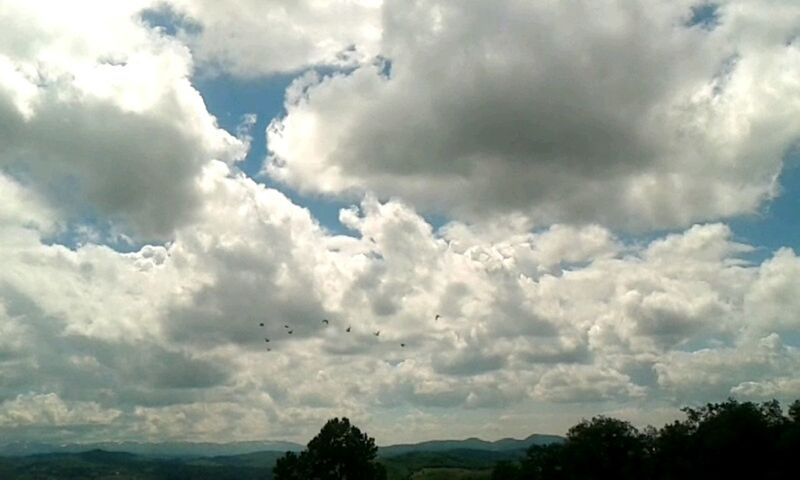 cloud - sky, sky, nature, weather, beauty in nature, no people, day, scenics, tranquility, outdoors, tree, storm cloud