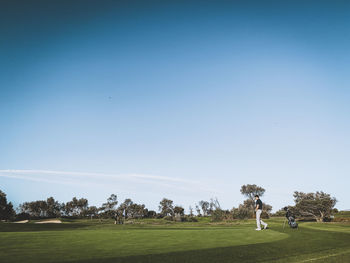 Trees on field against clear sky