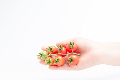 Close-up of hand holding fruit against white background