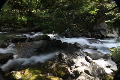 Stream flowing through rocks in forest