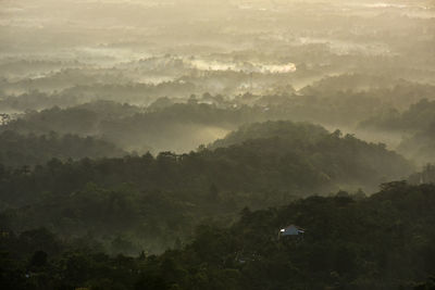 Scenic view of landscape against sky during foggy weather