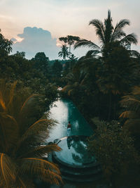 Palm trees by swimming pool against sky during sunset