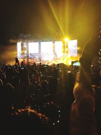 Crowd at music concert